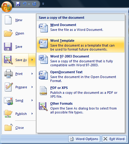 microsoft word 2007 save as